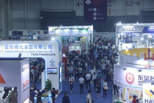 20000余農業品牌齊聚新區，國際化展會助力農業現代化